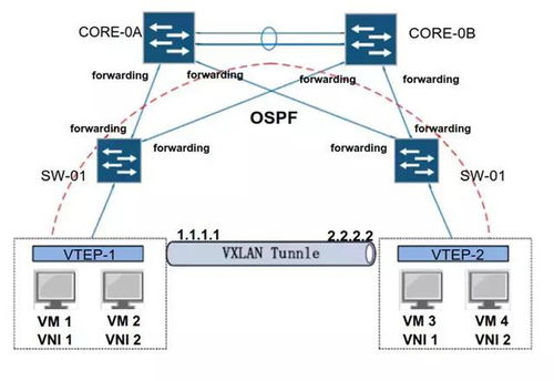 云計算底層技術在企業營銷策劃中的創新應用 虛擬網絡設備bridge、vlan與vxlan的實踐解析